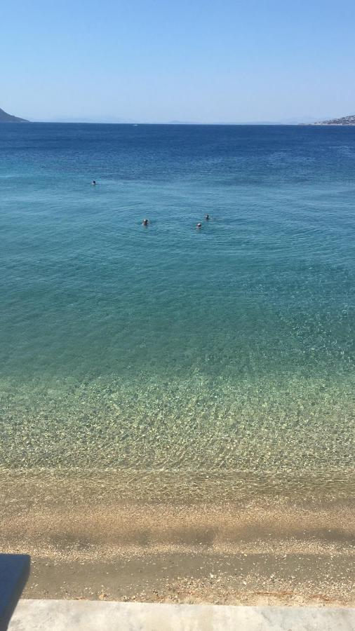 Villa Lula ネア・スティラ エクステリア 写真